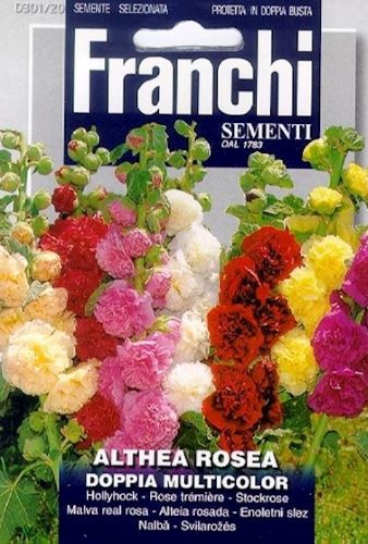 Hollyhock Althea Rossa Doppia Multicolor Seed
